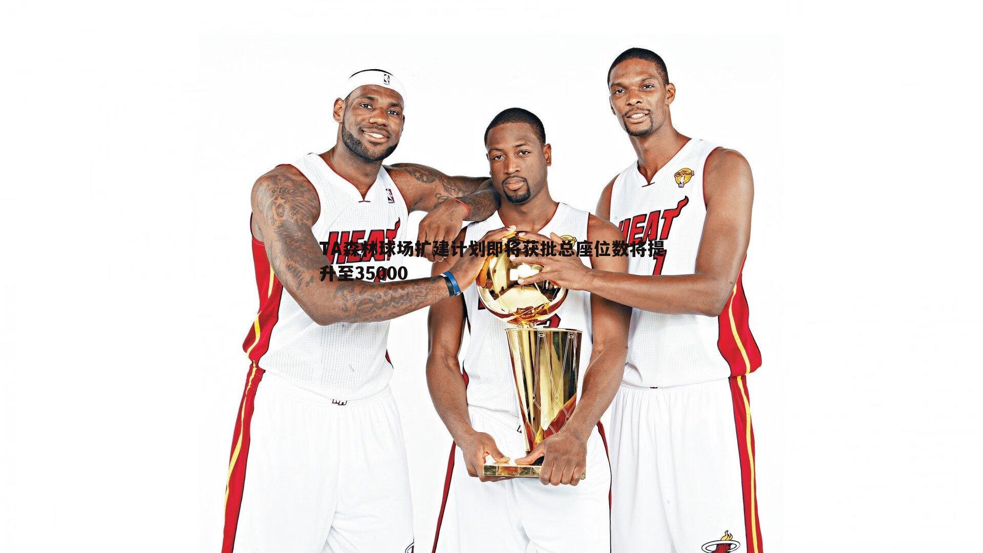 TA森林球场扩建计划即将获批总座位数将提升至35000